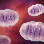 This is a feature image for blog article Mitochondrial Disease Therapies at Roots Analysis