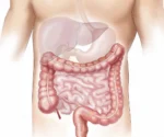 This is a feature image for blog article Microbiome Research Update at Roots Analysis