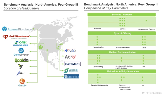 Currently, majority of players offering services for humanization and affinity maturation are based in North America