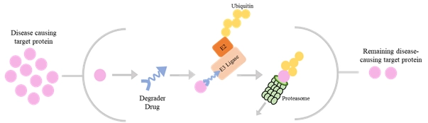 Targeted Protein Degradation – Defining a New Frontier in the Field of Medicine