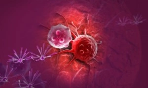 Illustrative Image of Stem cell