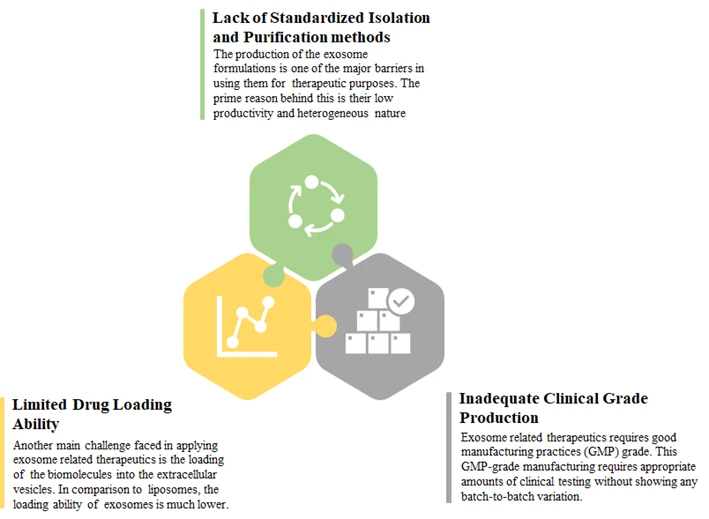 Challenges Associated with the Development and Manufacturing of Exosomes - Roots Analysis