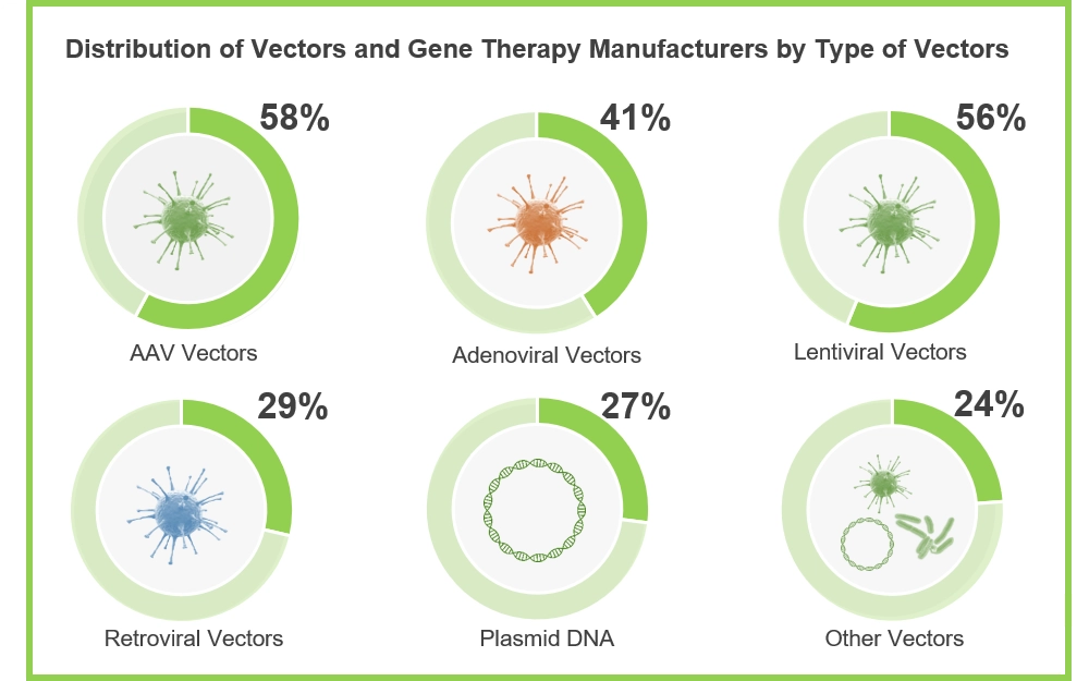 Infographic Vector CMOs shows different type of vectors including AAV, Lentiviral, Plasmid DNA, Retroviral, Adenoviral vectors etc