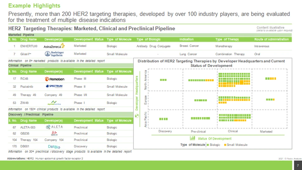 HER2 Targeted therapy - Market Landscape Roots Analysis