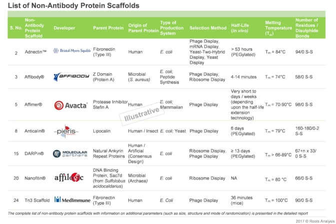 As per Roots Analysis, currently over 25 non-antibody proteins scaffold are manufactured by players across various regions. 