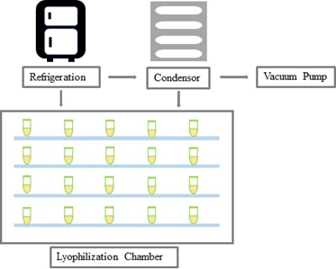 Lyophilization of Pharmaceuticals and Drug Reconstitution - Roots Analysis