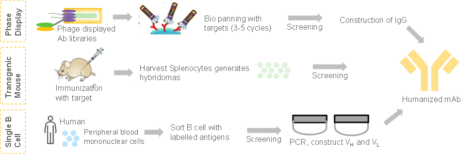 Smart diagram representing development of Novel Antibody Therapies - Roots Analysis