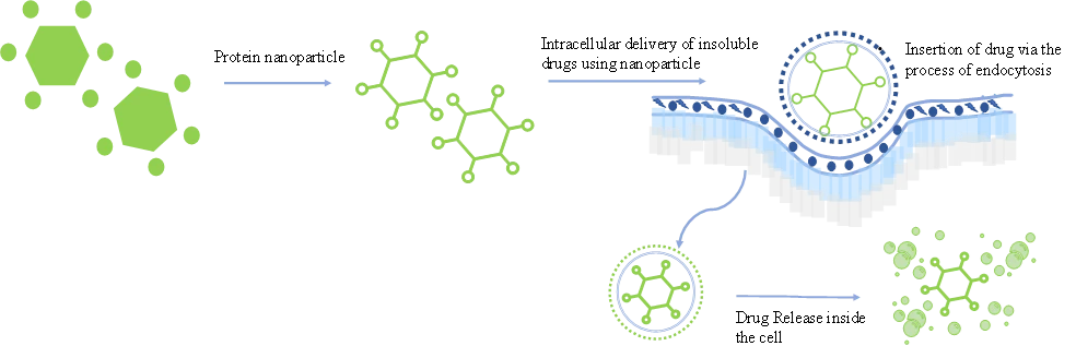 Visual explanation of mechanism of Intracellular drug delivery - Roots Analysis