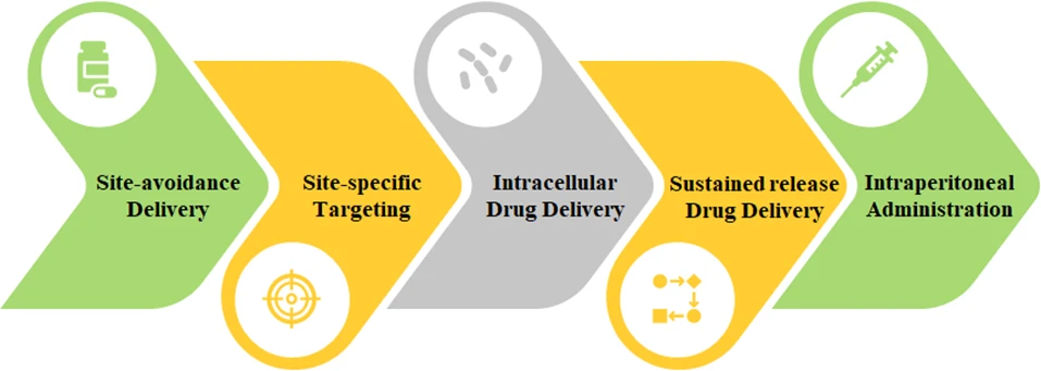What are the different applications of Liposomes Drug Delivery systems - Roots Analysis