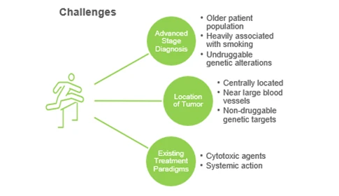 Squamous Non-Small Cell Lung Cancer Market - relevant challenges 