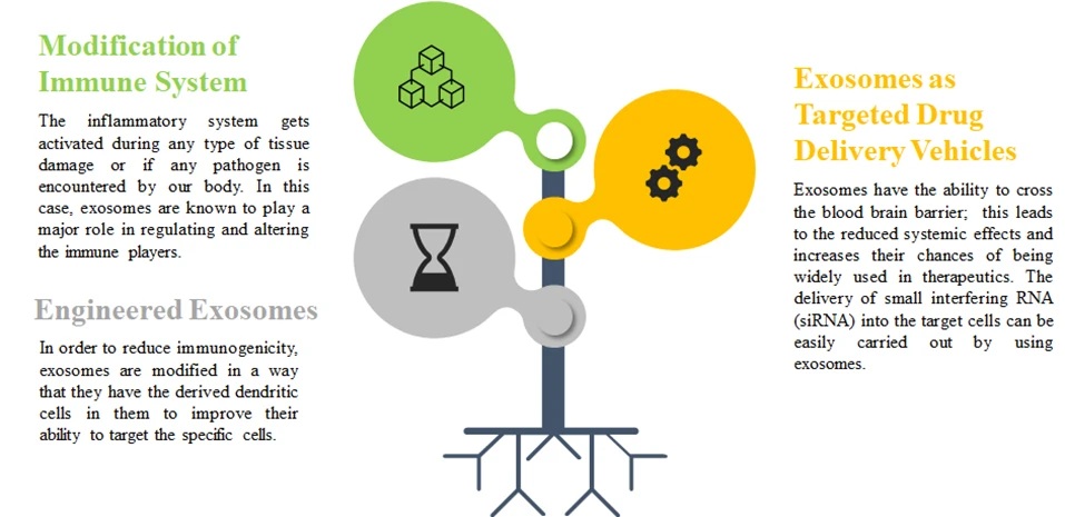 Therapeutic Applications of Exosomes - Roots Analysis