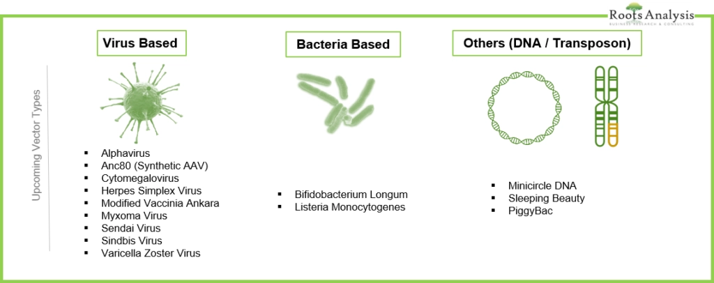 Virus-based or bacteria based or DNA based upcoming vectors in the market