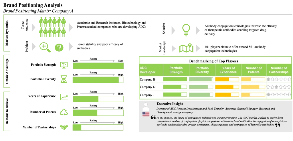 Conjugate Brand Positioning Analysis