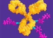 This is a feature image for blog article ADC Conjugates at Roots Analysis