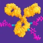 This is a feature image for blog article - Antibody Drug Conjugates at Roots Analysis