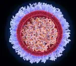 This is a feature image for blog article - mRNA Technology at Roots Analysis