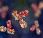 This is a feature image for blog article - Antibody Discovery Services Market at Roots Analysis