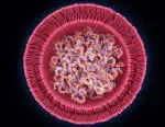 This is a feature image for blog article - Lipid Nanoparticle at Roots Analysis