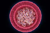 This is a feature image for blog article - Lipid Nanoparticle at Roots Analysis
