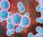 This is a feature image for blog article Allogeneic Cell Therapy Market at Roots Analysis