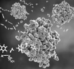 This is a feature image for blog article Targeted Protein Degradation Market at Roots Analysis