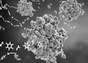 This is a feature image for blog article Targeted Protein Degradation Market at Roots Analysis