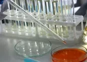 This is a feature image for blog article In Vitro Diagnostic Market at Roots Analysis