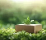 This is a feature image for blog article of sustainable packaging market at Roots Analysis