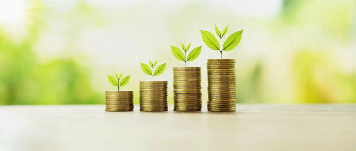 Investment Analysis