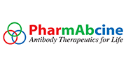 According to Roots Analysis, a market research firm, the global bispecific antibody market is expected to rise to U$9 b with a CAGR (Compound Annual Growth Rate) of 34% by 2030.