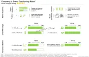 This image presents the brand positioning matrix for neurostimulation devices market