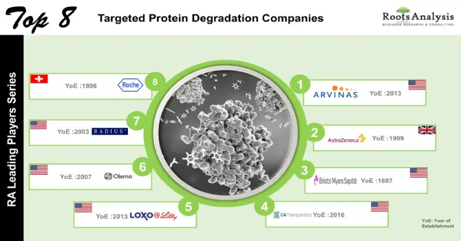 Top 8 Targeted Protein Degradation Companies