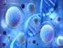 Allogeneic Cell Therapy Market by Type of Cell Therapy (Mesenchymal Stem Cell Therapies, Progenitor...