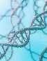 Plasmid DNA Manufacturing Market (2nd Edition) by Scale of Operation (Commercial, Clinical, and Prec...