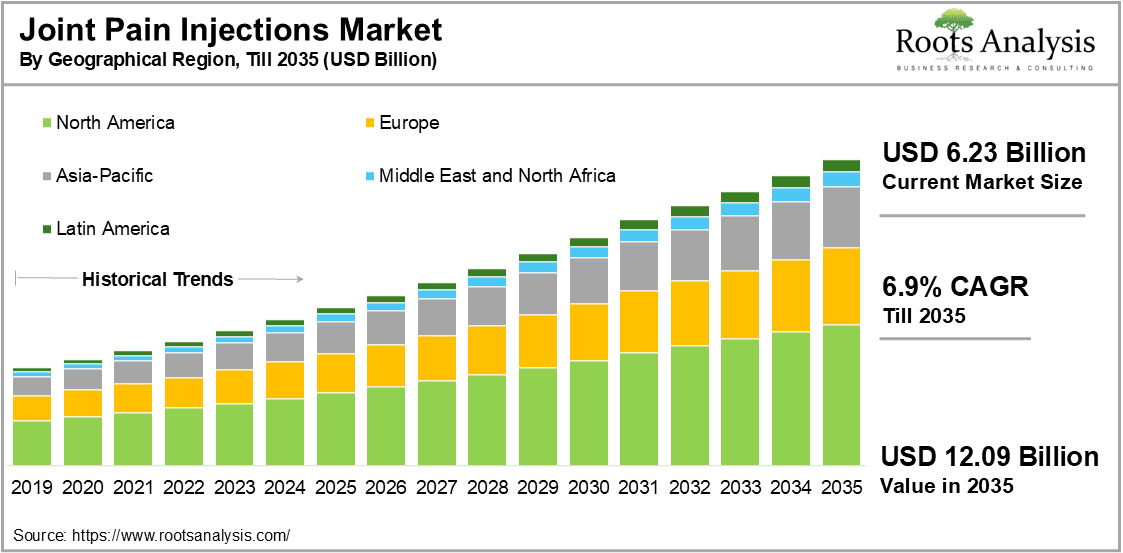 Joint Pain Injections Market by Geographical Region