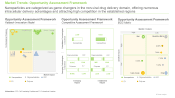 Non-Viral Drug Delivery Systems Market Opportunity Assessment Framework Thumb