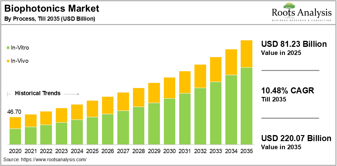 Biophotonics Market by Process