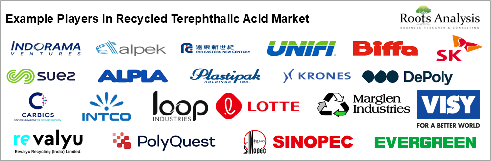 Example Players in Recycled Terephthalic Acid Market Example Players in Recycled Terephthalic Acid Market
