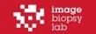 Top 7 Virtual Biopsy Companies Imagebiopsy Lab