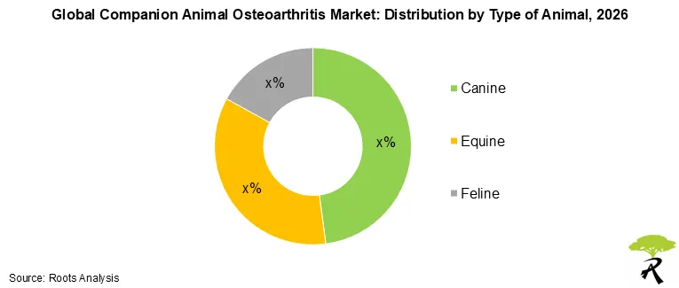Companion Animal Osteoarthritis Market Size by Type of Animal, 2026