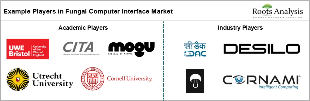 Fungal Computer Interface Market Outlook by Example Players, 2025