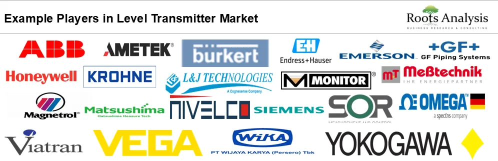 Level Transmitter Market, by Example Players