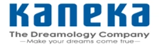 TOP 9 Continuous Manufacturing Companies Kaneka