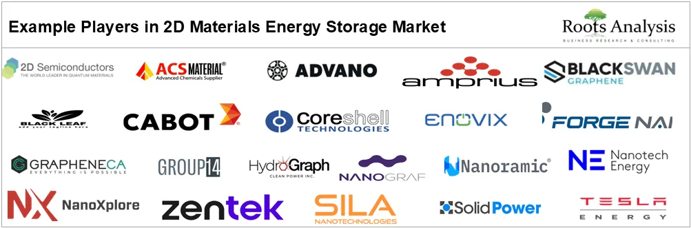 2D Materials Energy Storage Market by Example Players