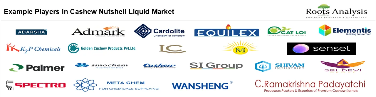 Cashew Nutshell Liquid Market by Example Players Cashew Nutshell Liquid Market by Example Players