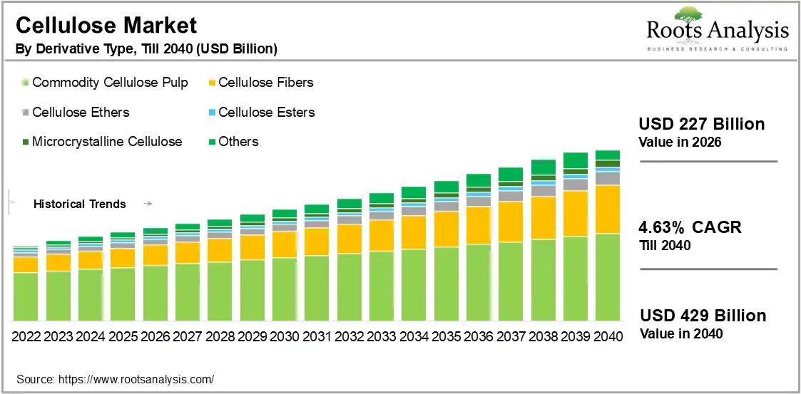 Cellulose Market by Derivative Type, 2026