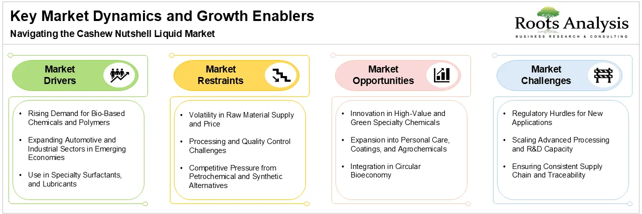 Global Cashew Nutshell Market Dynamics and Growth Enablers Global Cashew Nutshell Market Dynamics and Growth Enablers
