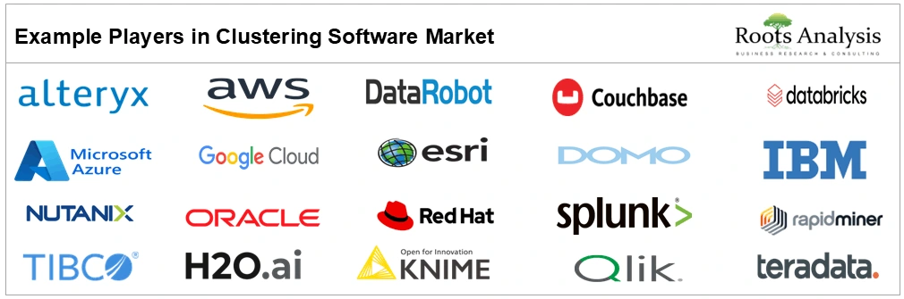 Global Clustering Software Market by Example Players Global Clustering Software Market by Example Players