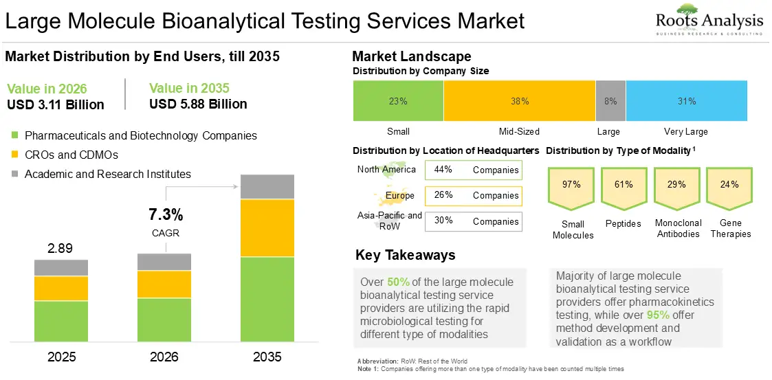 Global Large Molecule Bioanalytical Testing Services Market Growth 2025 to 2035
