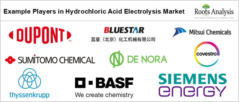Hydrochloric Acid Electrolysis Market, by Example Players Hydrochloric Acid Electrolysis Market, by Example Players
